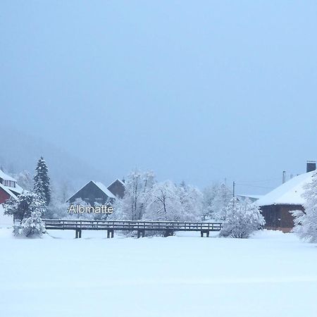 B1 Albmatte-Fewo Sauna, Hallenbad Aussenbecken Massagen Nebenan Менценшванд Экстерьер фото