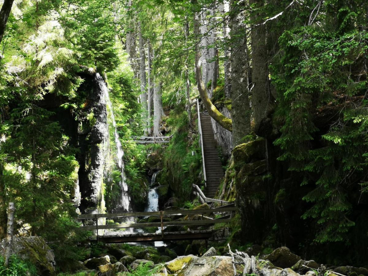 B1 Albmatte-Fewo Sauna, Hallenbad Aussenbecken Massagen Nebenan Менценшванд Экстерьер фото