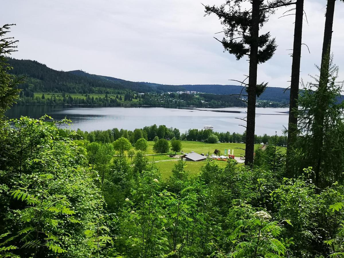 B1 Albmatte-Fewo Sauna, Hallenbad Aussenbecken Massagen Nebenan Менценшванд Экстерьер фото