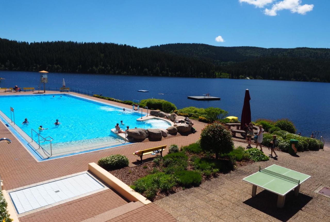 B1 Albmatte-Fewo Sauna, Hallenbad Aussenbecken Massagen Nebenan Менценшванд Экстерьер фото