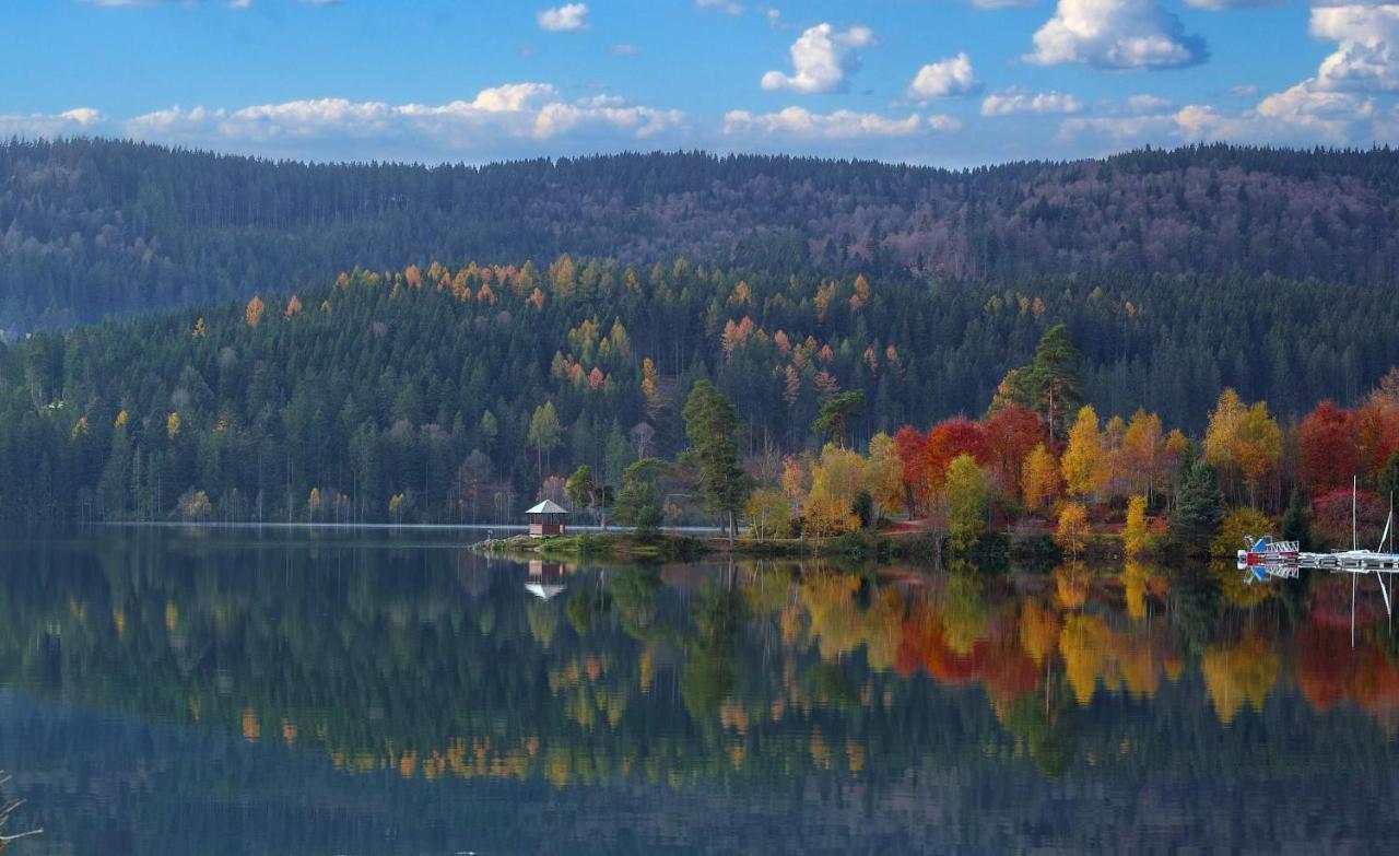 B1 Albmatte-Fewo Sauna, Hallenbad Aussenbecken Massagen Nebenan Менценшванд Экстерьер фото