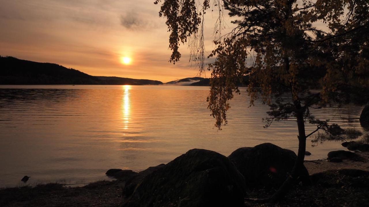 B1 Albmatte-Fewo Sauna, Hallenbad Aussenbecken Massagen Nebenan Менценшванд Экстерьер фото