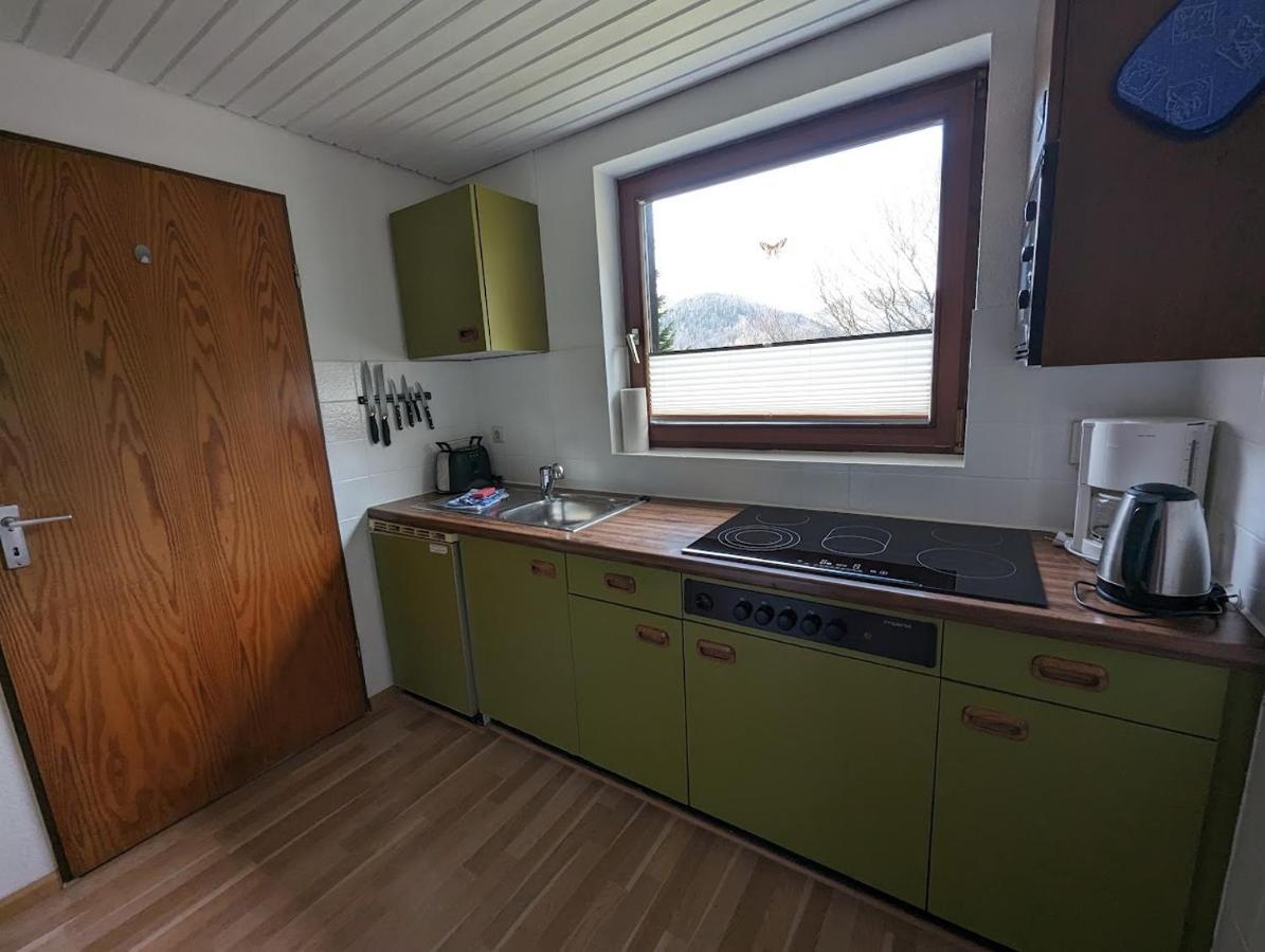 B1 Albmatte-Fewo Sauna, Hallenbad Aussenbecken Massagen Nebenan Менценшванд Экстерьер фото