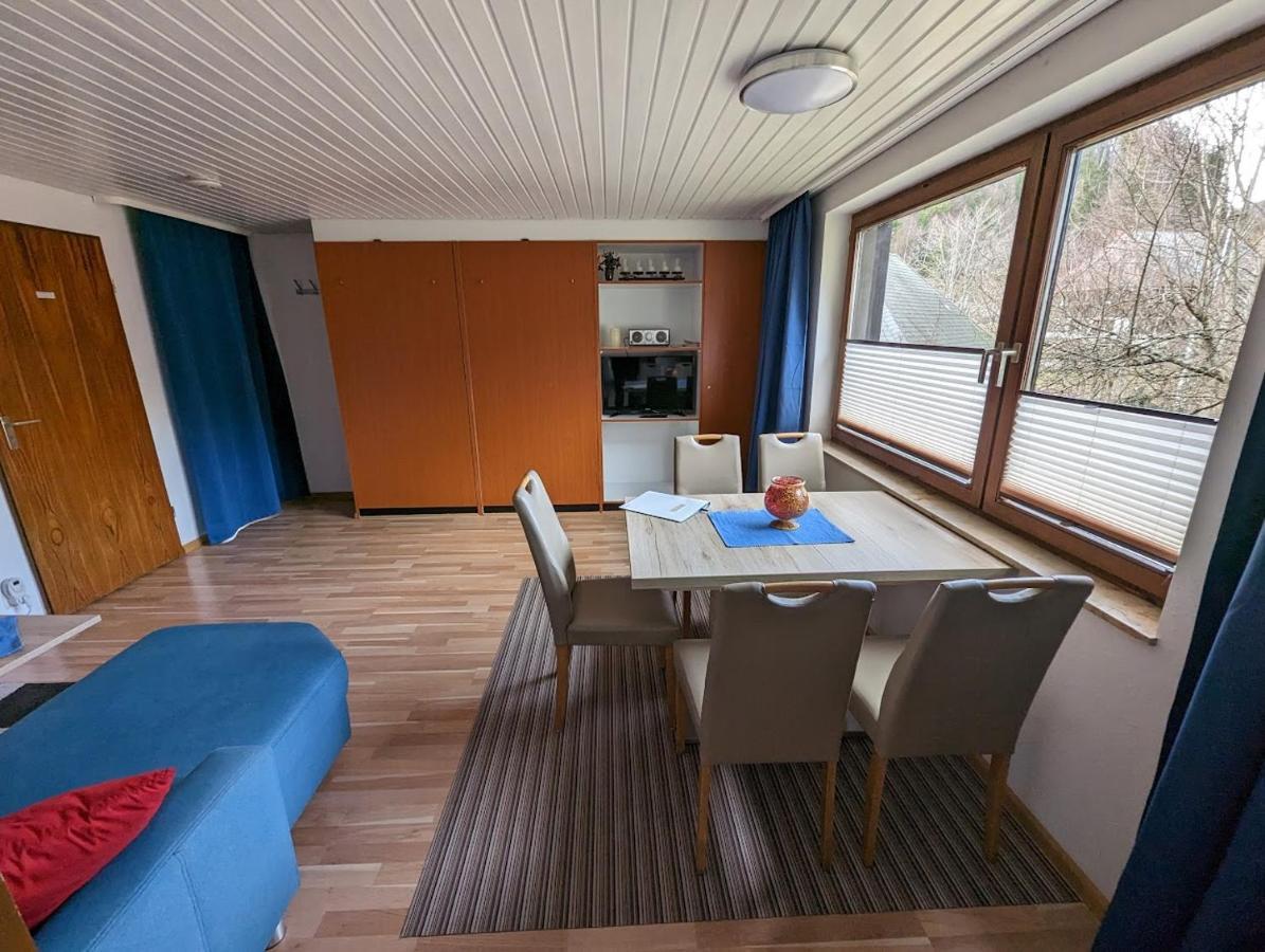 B1 Albmatte-Fewo Sauna, Hallenbad Aussenbecken Massagen Nebenan Менценшванд Экстерьер фото
