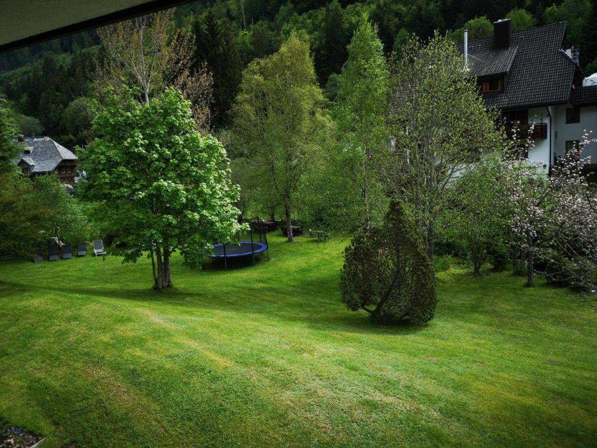 B1 Albmatte-Fewo Sauna, Hallenbad Aussenbecken Massagen Nebenan Менценшванд Экстерьер фото