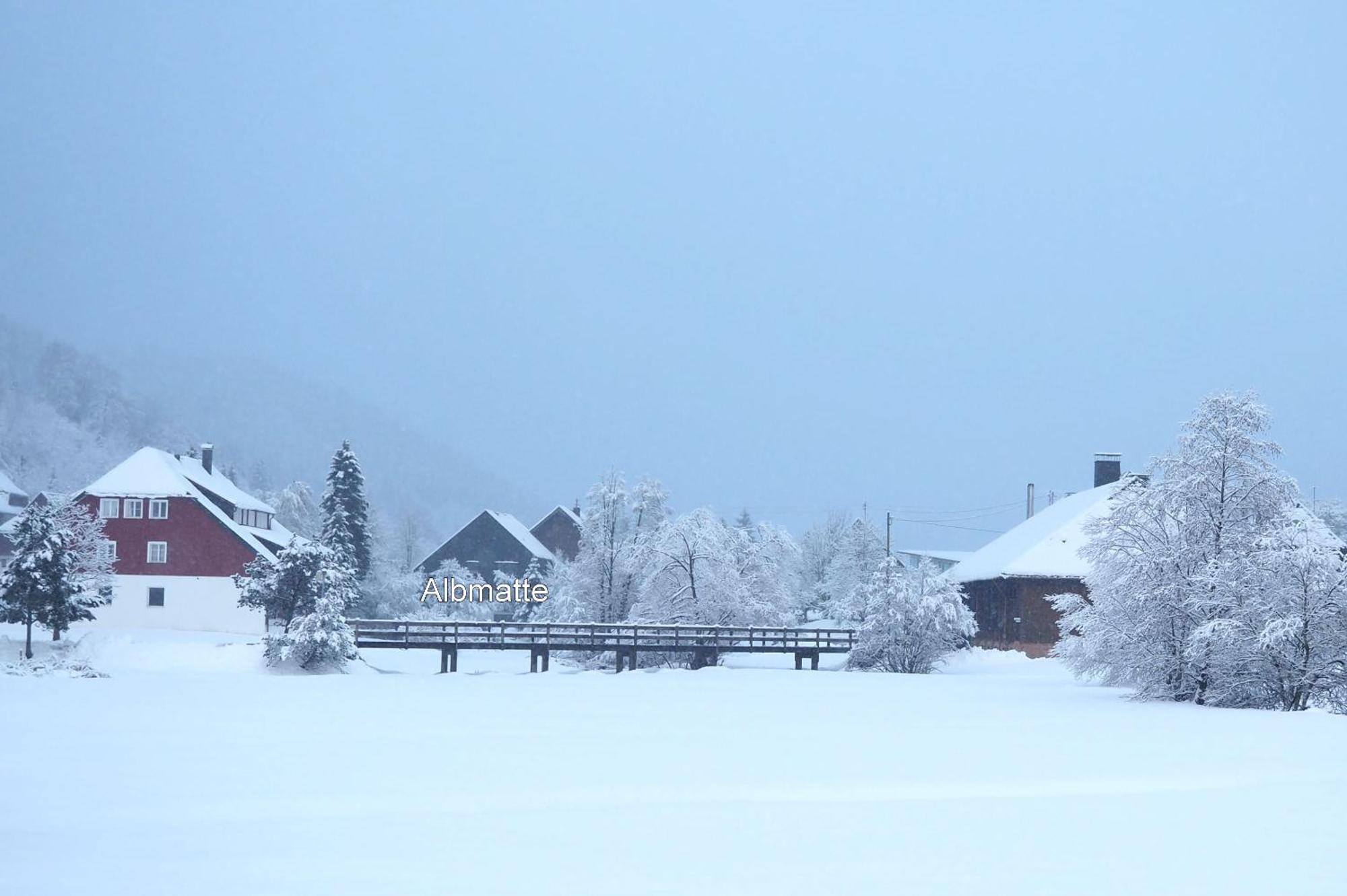 B1 Albmatte-Fewo Sauna, Hallenbad Aussenbecken Massagen Nebenan Менценшванд Экстерьер фото