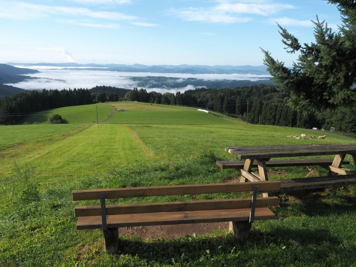 B1 Albmatte-Fewo Sauna, Hallenbad Aussenbecken Massagen Nebenan Менценшванд Экстерьер фото
