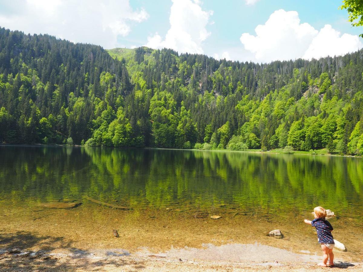 B1 Albmatte-Fewo Sauna, Hallenbad Aussenbecken Massagen Nebenan Менценшванд Экстерьер фото