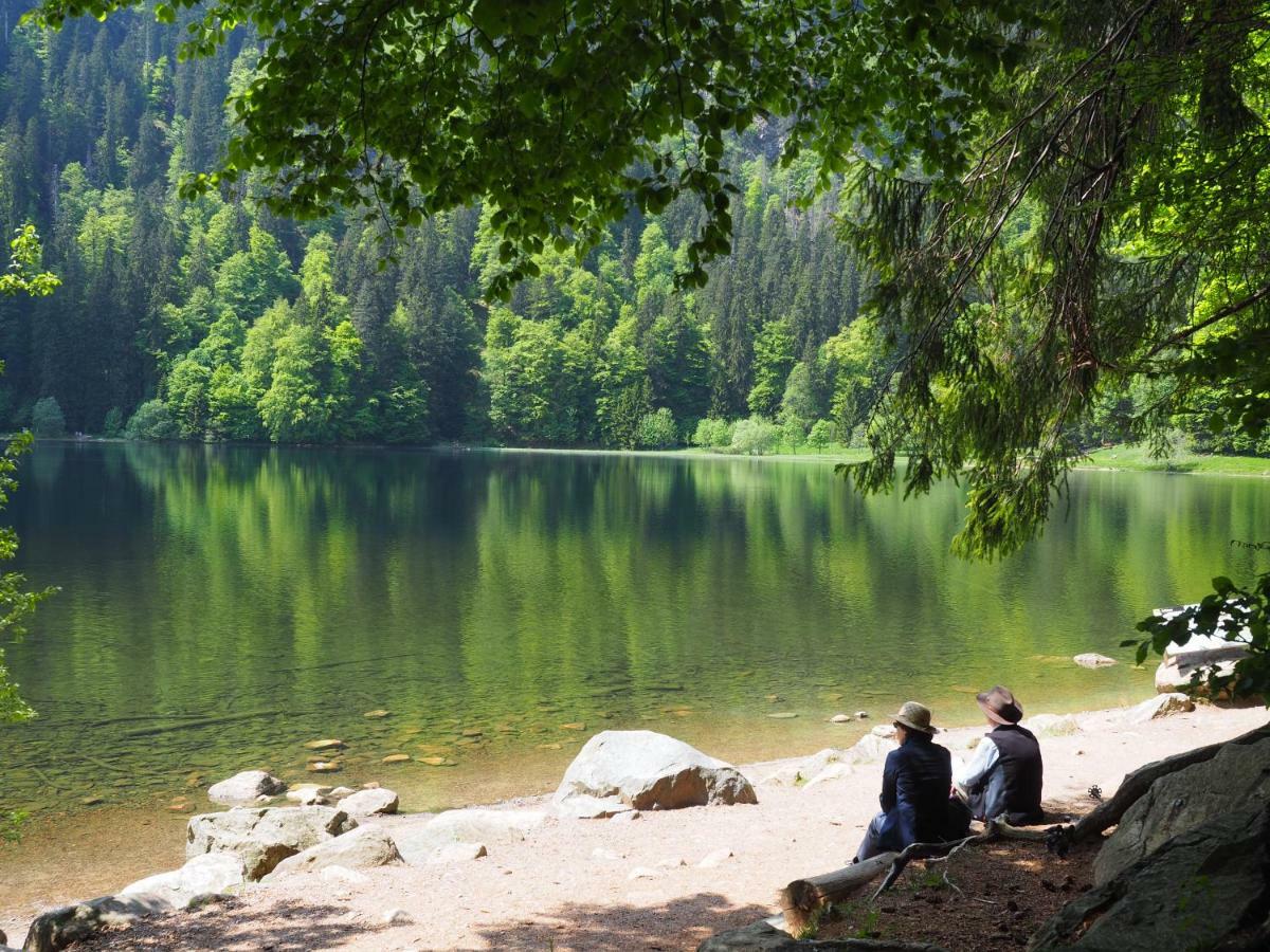 B1 Albmatte-Fewo Sauna, Hallenbad Aussenbecken Massagen Nebenan Менценшванд Экстерьер фото