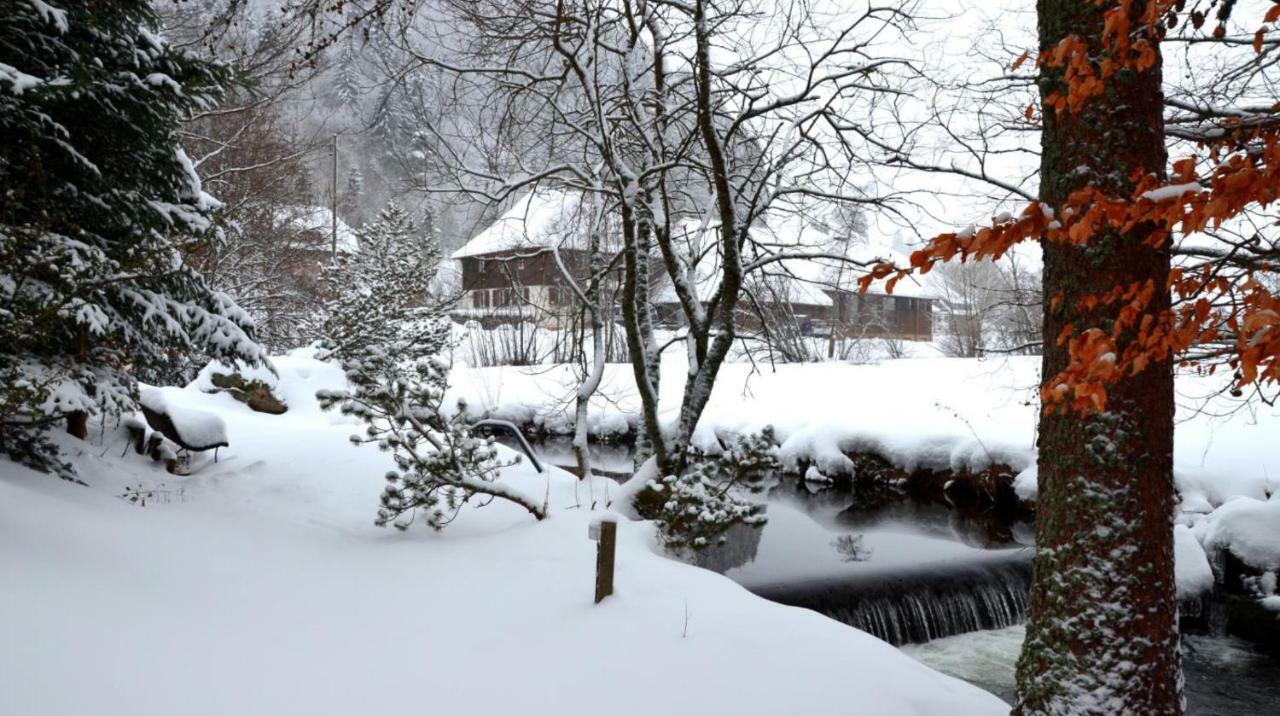 B1 Albmatte-Fewo Sauna, Hallenbad Aussenbecken Massagen Nebenan Менценшванд Экстерьер фото